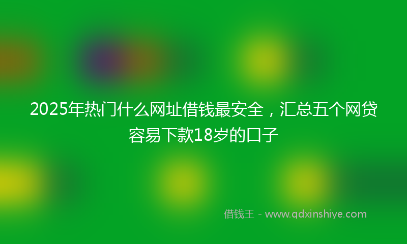 2025年热门什么网址借钱最安全，汇总五个网贷容易下款18岁的口子