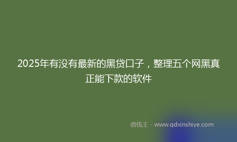 2025年有没有最新的黑贷口子，整理五个网黑真正能下款的软件