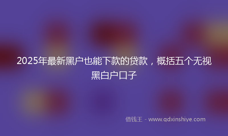 2025年最新黑户也能下款的贷款，概括五个无视黑白户口子