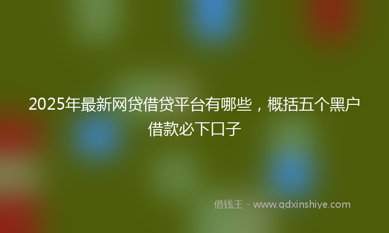 2025年最新网贷借贷平台有哪些，概括五个黑户借款必下口子