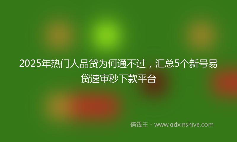 2025年热门人品贷为何通不过，汇总5个新号易贷速审秒下款平台