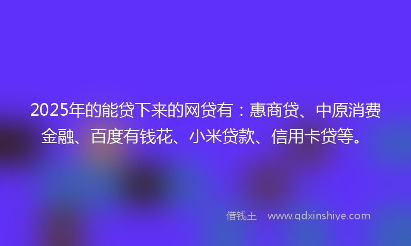 2025年的能贷下来的网贷有：惠商贷、中原消费金融、百度有钱花、小米贷款、信用卡贷等。