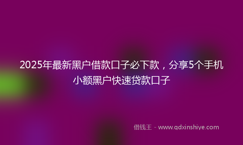 2025年最新黑户借款口子必下款，分享5个手机小额黑户快速贷款口子