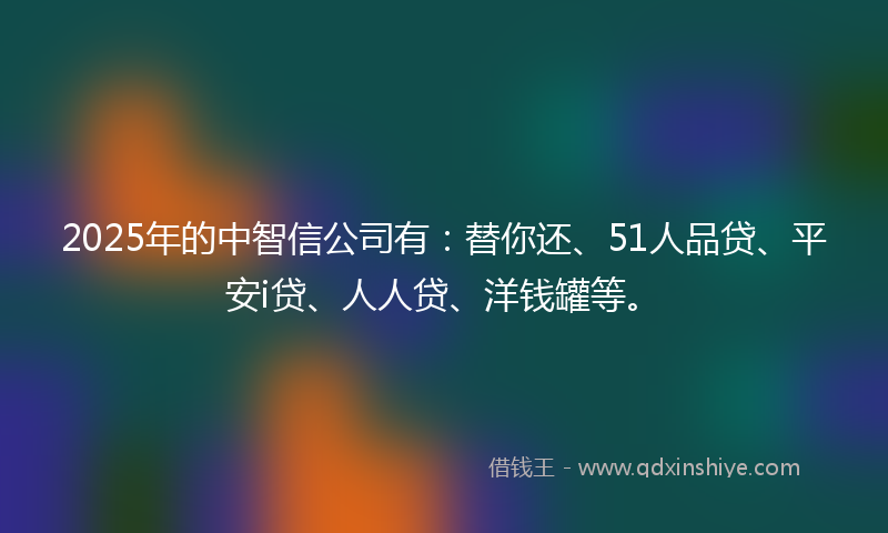 2025年的中智信公司有：替你还、51人品贷、平安i贷、人人贷、洋钱罐等。