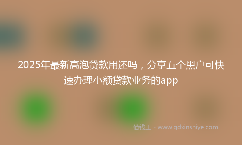 2025年最新高泡贷款用还吗,分享五个黑户可快速办理小额贷款业务的app