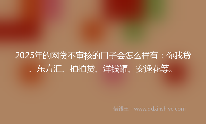 2025年的网贷不审核的口子会怎么样有：你我贷、东方汇、拍拍贷、洋钱罐、安逸花等。