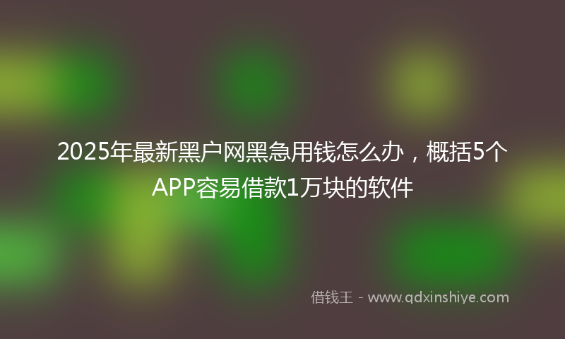2025年最新黑户网黑急用钱怎么办，概括5个APP容易借款1万块的软件