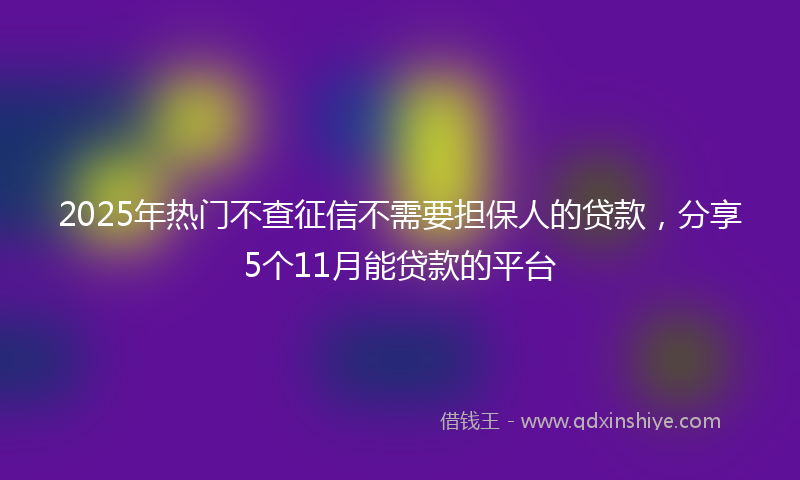 2025年热门不查征信不需要担保人的贷款，分享5个11月能贷款的平台
