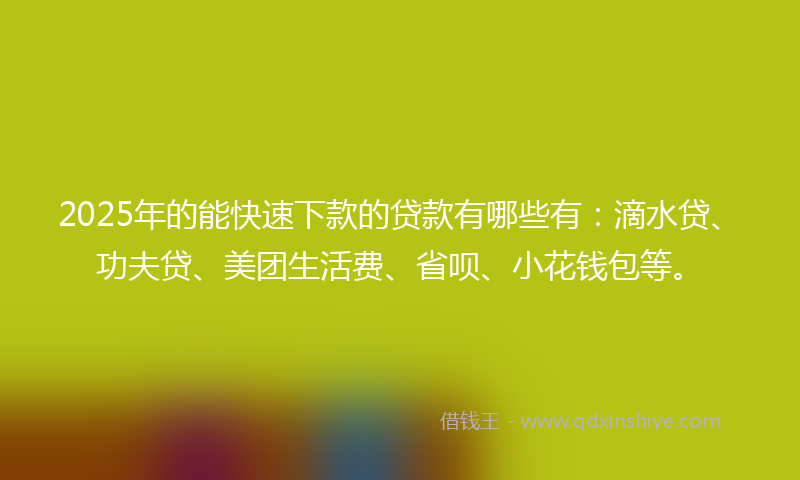 2025年的能快速下款的贷款有哪些有：滴水贷、功夫贷、美团生活费、省呗、小花钱包等。