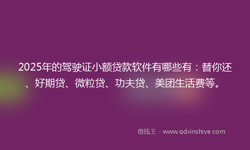 2025年的驾驶证小额贷款软件有哪些有：替你还、好期贷、微粒贷、功夫贷、美团生活费等。