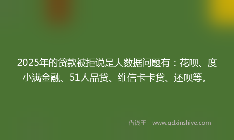 2025年的贷款被拒说是大数据问题有：花呗、度小满金融、51人品贷、维信卡卡贷、还呗等。