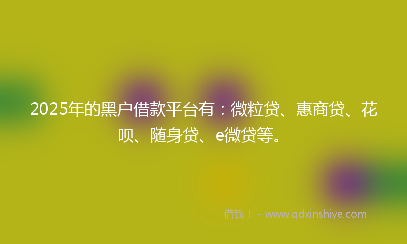 2025年的黑户借款平台有：微粒贷、惠商贷、花呗、随身贷、e微贷等。