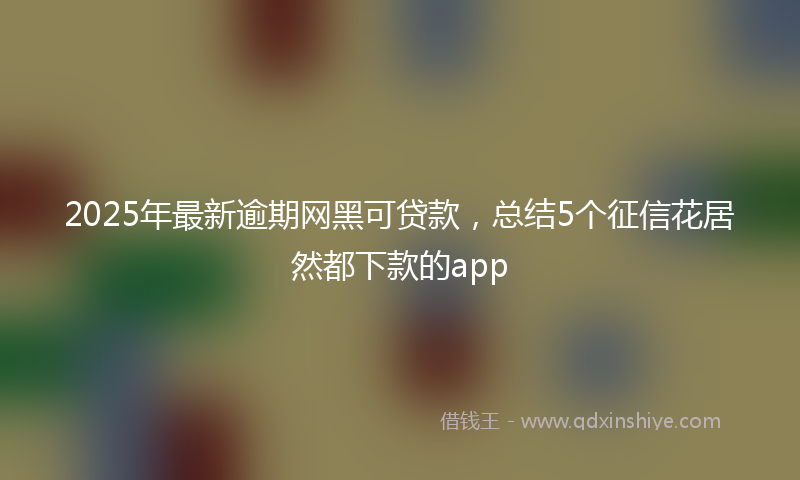 2025年最新逾期网黑可贷款，总结5个征信花居然都下款的app