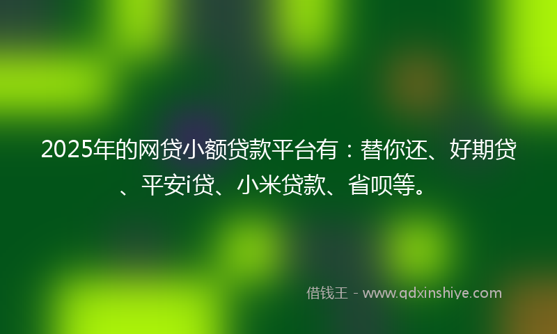 2025年的网贷小额贷款平台有：替你还、好期贷、平安i贷、小米贷款、省呗等。