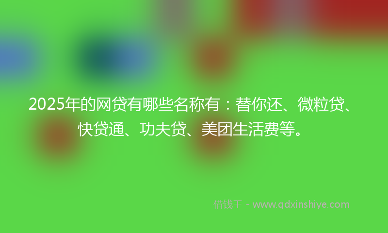 2025年的网贷有哪些名称有：替你还、微粒贷、快贷通、功夫贷、美团生活费等。