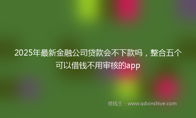 2025年最新金融公司贷款会不下款吗，整合五个可以借钱不用审核的app