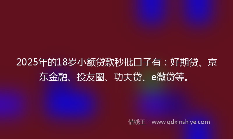 2025年的18岁小额贷款秒批口子有：好期贷、京东金融、投友圈、功夫贷、e微贷等。