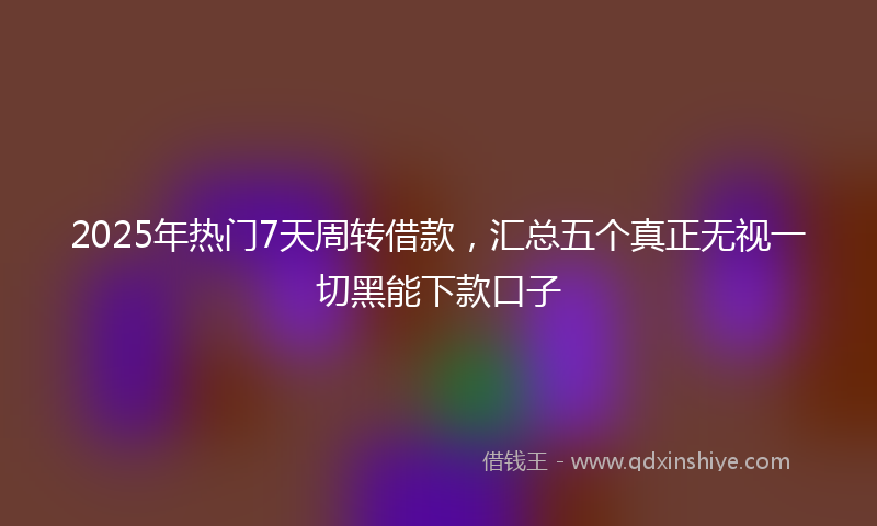 2025年热门7天周转借款，汇总五个真正无视一切黑能下款口子