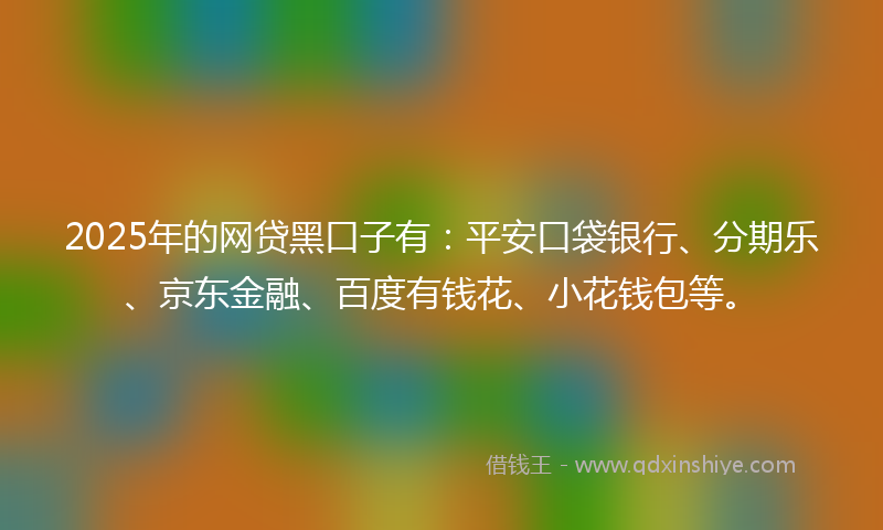 2025年的网贷黑口子有：平安口袋银行、分期乐、京东金融、百度有钱花、小花钱包等。