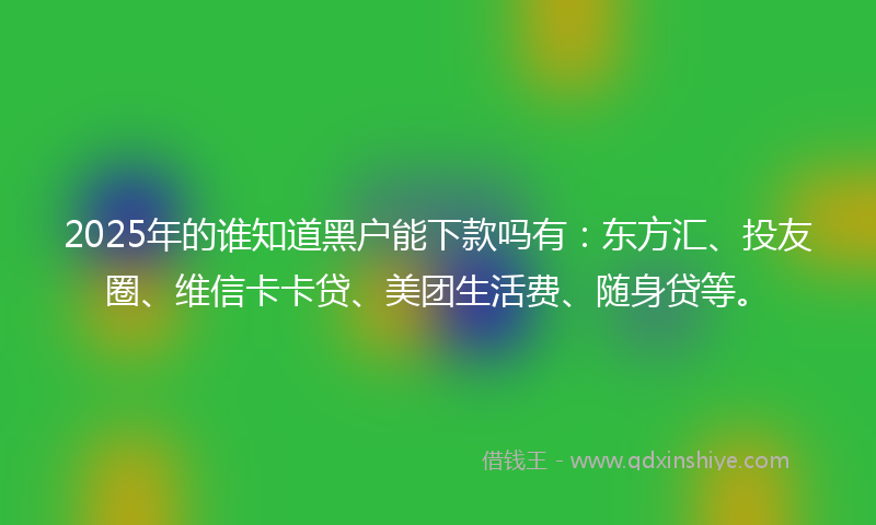 2025年的谁知道黑户能下款吗有：东方汇、投友圈、维信卡卡贷、美团生活费、随身贷等。