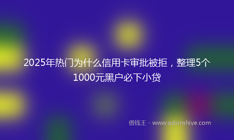 2025年热门为什么信用卡审批被拒，整理5个1000元黑户必下小贷