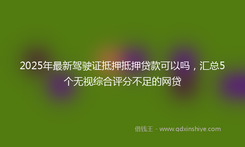 2025年最新驾驶证抵押抵押贷款可以吗，汇总5个无视综合评分不足的网贷