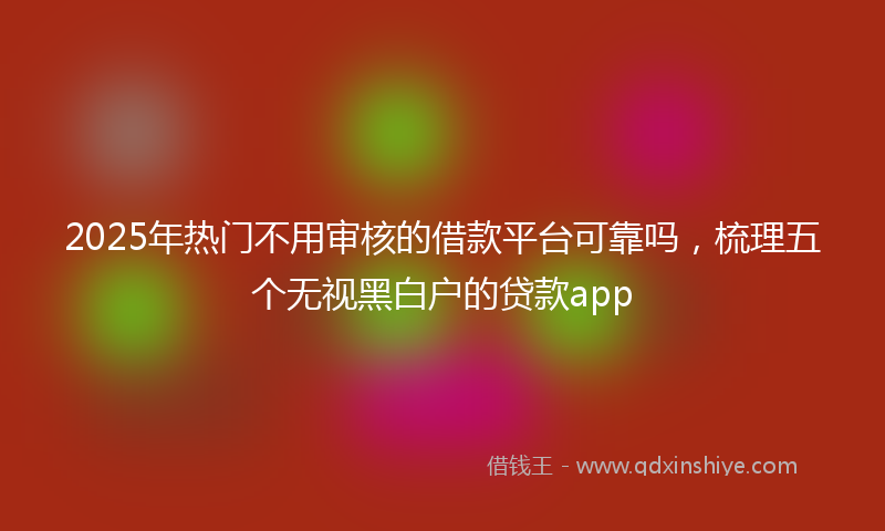 2025年热门不用审核的借款平台可靠吗，梳理五个无视黑白户的贷款app