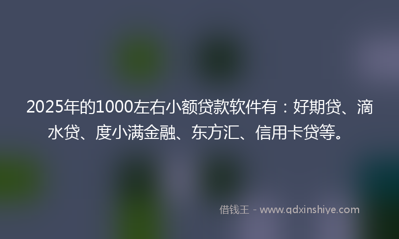 2025年的1000左右小额贷款软件有：好期贷、滴水贷、度小满金融、东方汇、信用卡贷等。