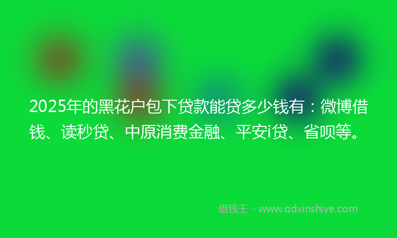 2025年的黑花户包下贷款能贷多少钱有：微博借钱、读秒贷、中原消费金融、平安i贷、省呗等。