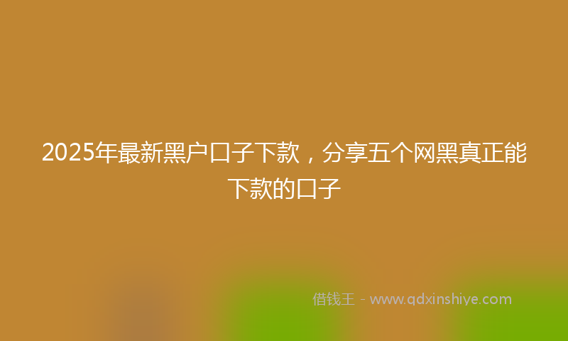 2025年最新黑户口子下款，分享五个网黑真正能下款的口子
