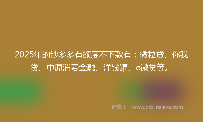 2025年的钞多多有额度不下款有：微粒贷、你我贷、中原消费金融、洋钱罐、e微贷等。