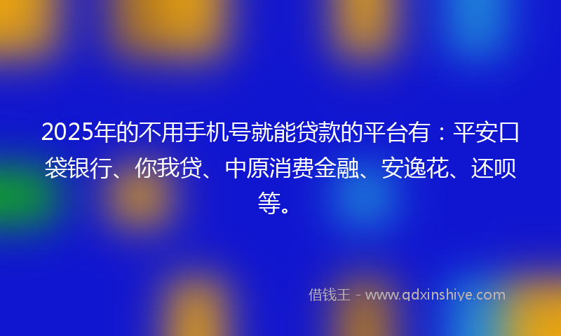 2025年的不用手机号就能贷款的平台有：平安口袋银行、你我贷、中原消费金融、安逸花、还呗等。