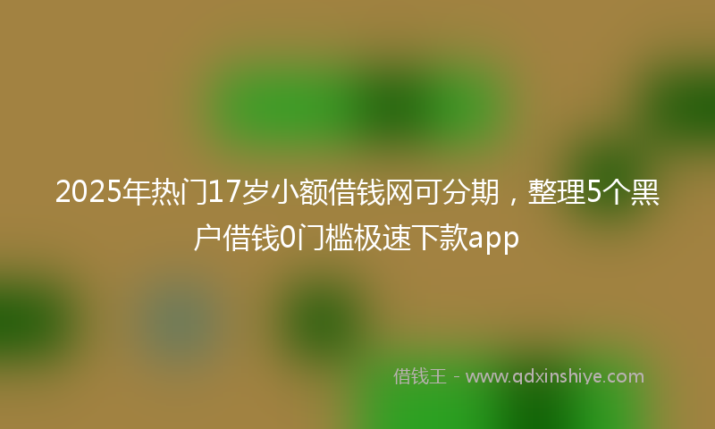 2025年热门17岁小额借钱网可分期，整理5个黑户借钱0门槛极速下款app