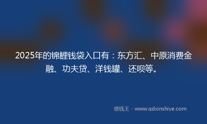 2025年的锦鲤钱袋入口有：东方汇、中原消费金融、功夫贷、洋钱罐、还呗等。