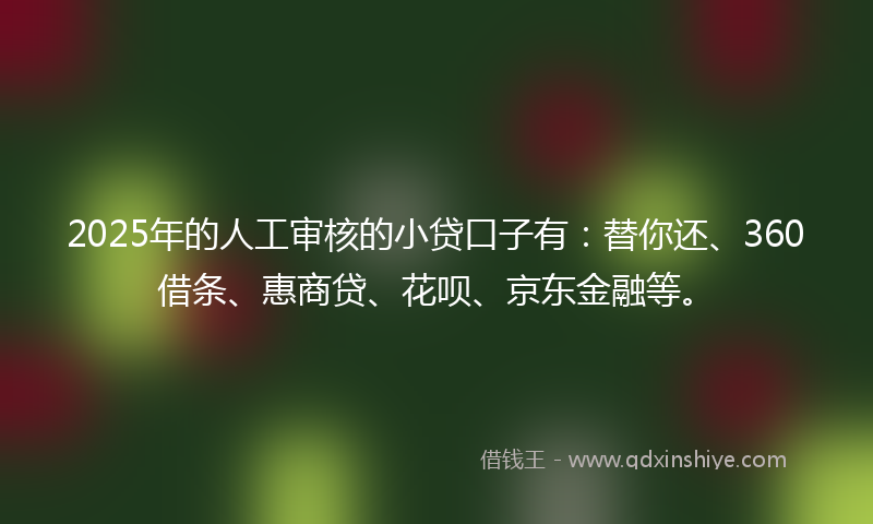 2025年的人工审核的小贷口子有：替你还、360借条、惠商贷、花呗、京东金融等。