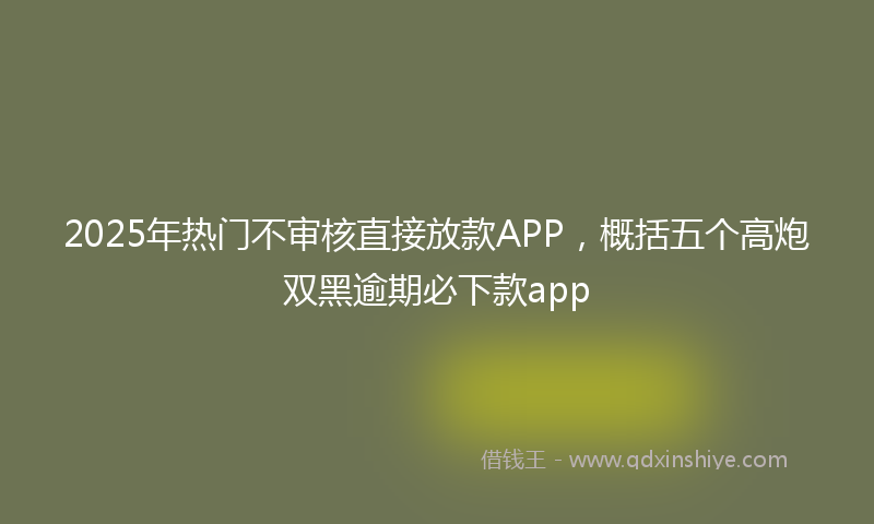 2025年热门不审核直接放款APP，概括五个高炮双黑逾期必下款app