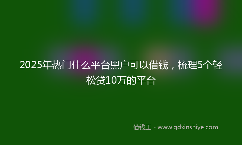 2025年热门什么平台黑户可以借钱，梳理5个轻松贷10万的平台