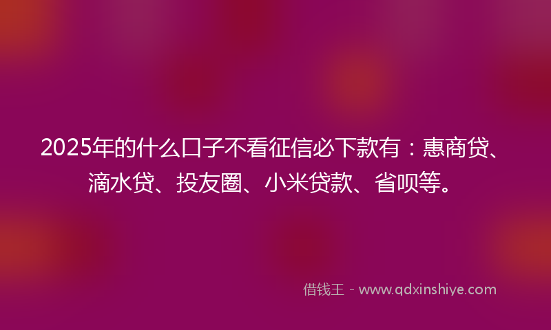 2025年的什么口子不看征信必下款有：惠商贷、滴水贷、投友圈、小米贷款、省呗等。