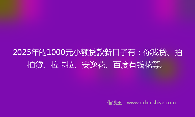 2025年的1000元小额贷款新口子有：你我贷、拍拍贷、拉卡拉、安逸花、百度有钱花等。