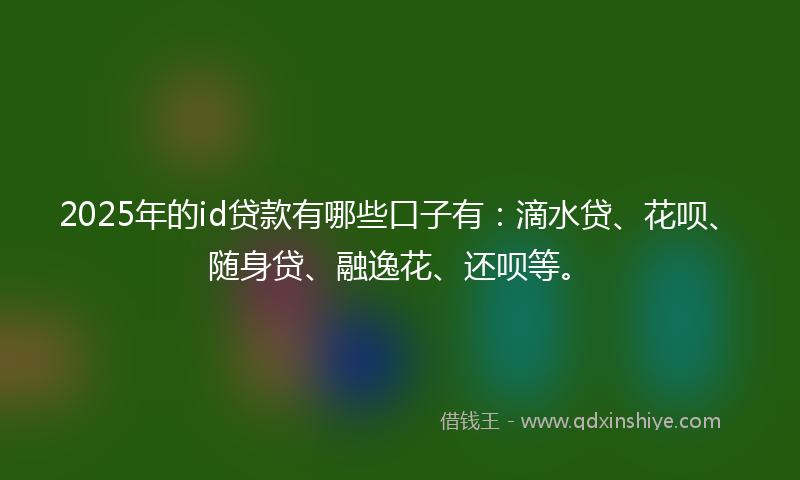 2025年的id贷款有哪些口子有：滴水贷、花呗、随身贷、融逸花、还呗等。
