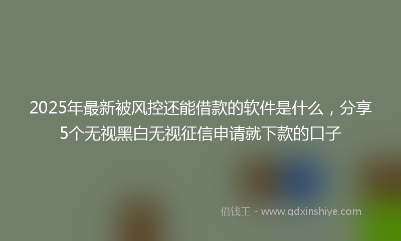 2025年最新被风控还能借款的软件是什么，分享5个无视黑白无视征信申请就下款的口子