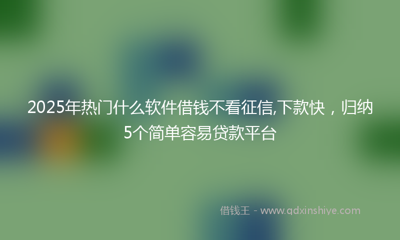 2025年热门什么软件借钱不看征信,下款快，归纳5个简单容易贷款平台