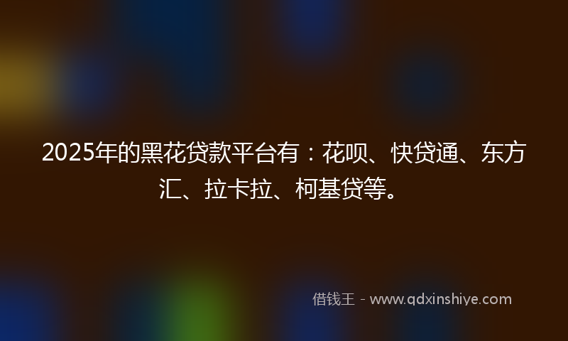 2025年的黑花贷款平台有：花呗、快贷通、东方汇、拉卡拉、柯基贷等。