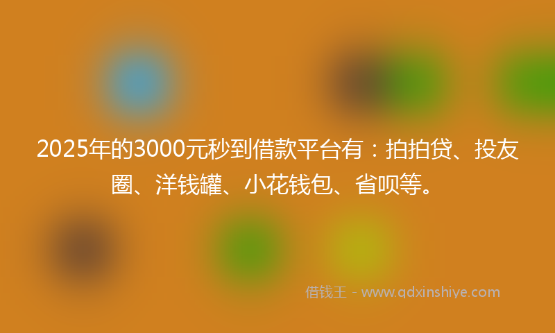 2025年的3000元秒到借款平台有：拍拍贷、投友圈、洋钱罐、小花钱包、省呗等。