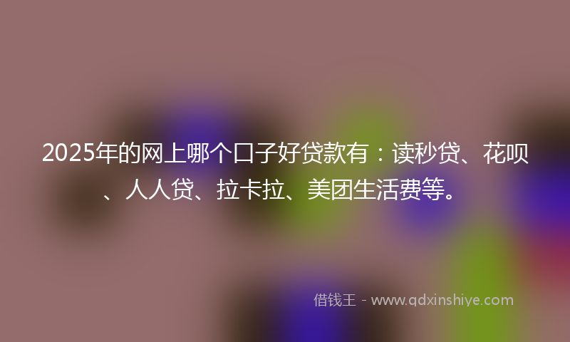 2025年的网上哪个口子好贷款有：读秒贷、花呗、人人贷、拉卡拉、美团生活费等。