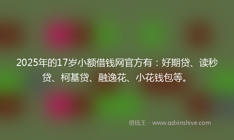 2025年的17岁小额借钱网官方有：好期贷、读秒贷、柯基贷、融逸花、小花钱包等。