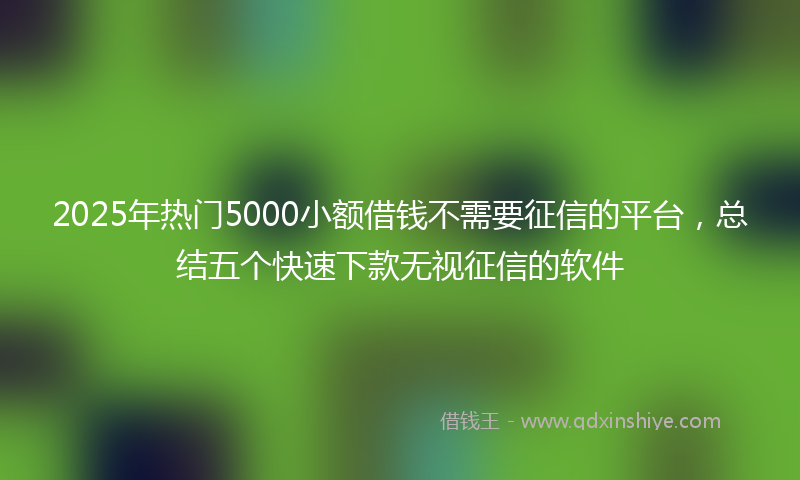 2025年热门5000小额借钱不需要征信的平台，总结五个快速下款无视征信的软件