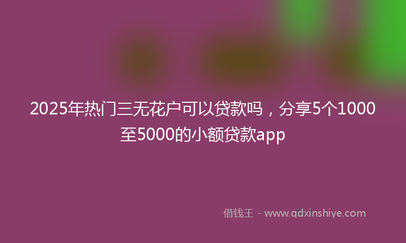 2025年热门三无花户可以贷款吗，分享5个1000至5000的小额贷款app