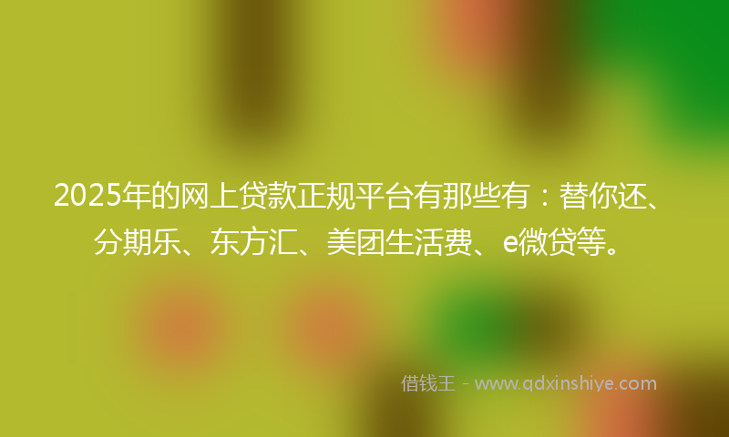 2025年的网上贷款正规平台有那些有：替你还、分期乐、东方汇、美团生活费、e微贷等。