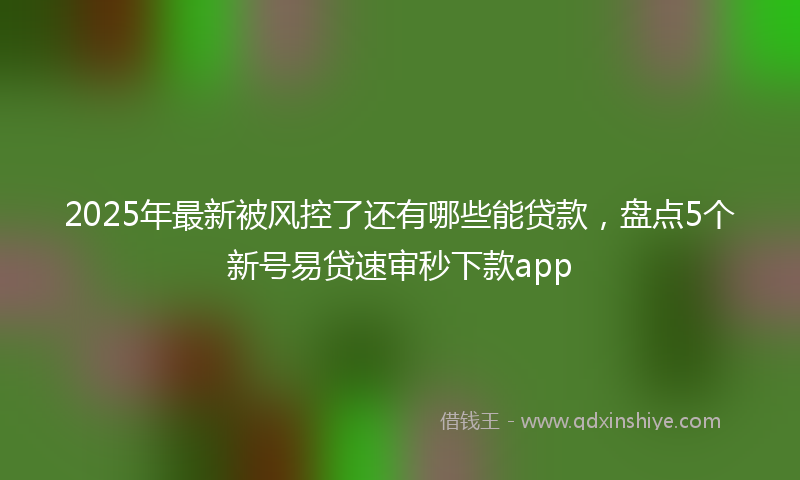 2025年最新被风控了还有哪些能贷款，盘点5个新号易贷速审秒下款app